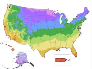 hardiness-map-7d6cf5f0c7935238fdc9d99ff68bed9947b15732-s40-c85
