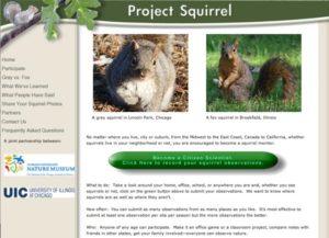 project_squirrel